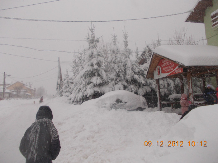 DSCN5555_1040 - Excursie la Azuga