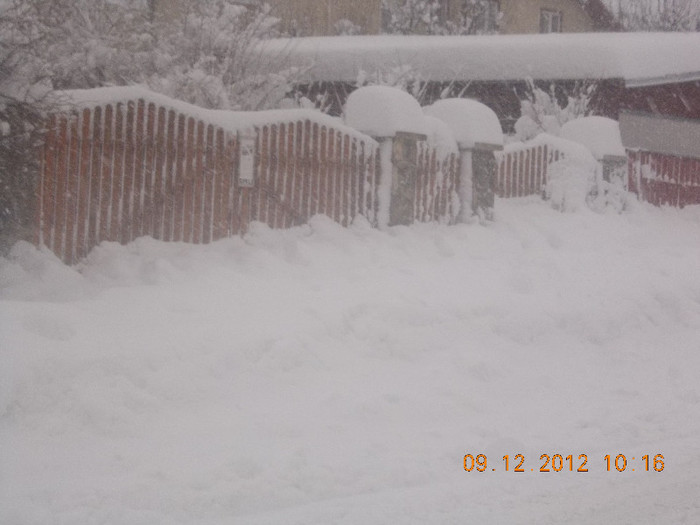 DSCN5560_1045 - Excursie la Azuga