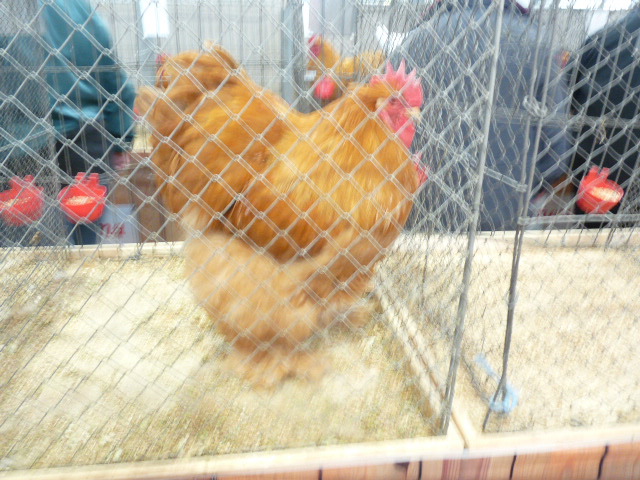 P1130624