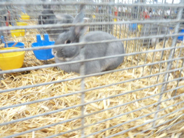 P1130688