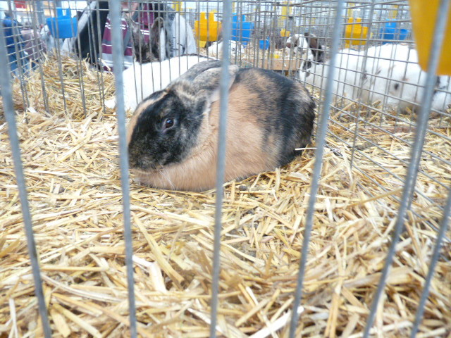 P1130703