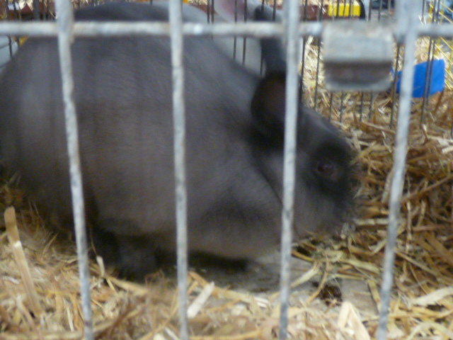 P1130706