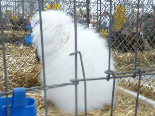 P1130725