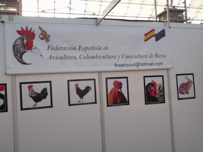 Picture 5149 - EXPOZITIA LEIPZIG 2012 PARTEA INTAI