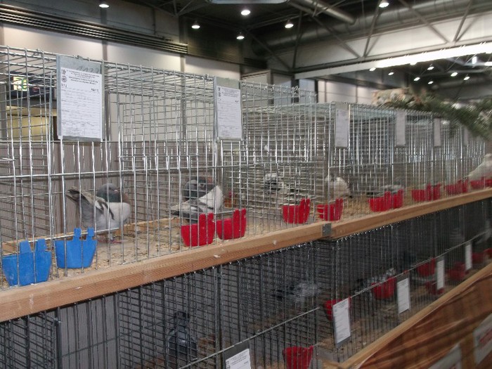 Picture 5166 - EXPOZITIA LEIPZIG 2012 PARTEA INTAI