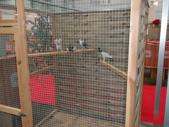 Picture 5178 - EXPOZITIA LEIPZIG 2012 PARTEA INTAI