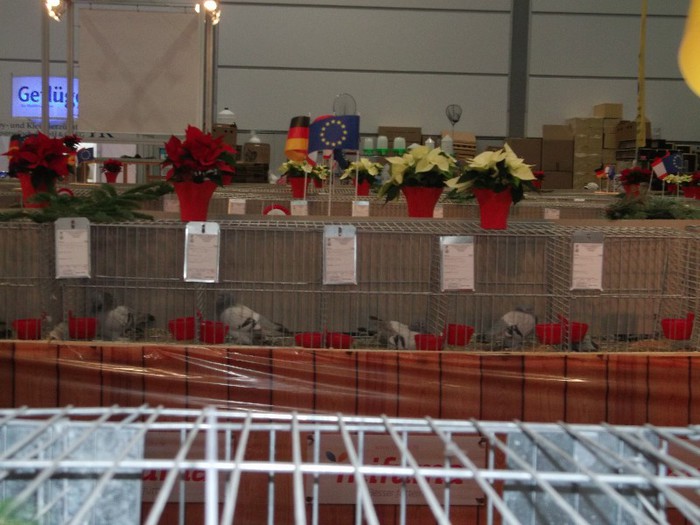 Picture 5180 - EXPOZITIA LEIPZIG 2012 PARTEA INTAI