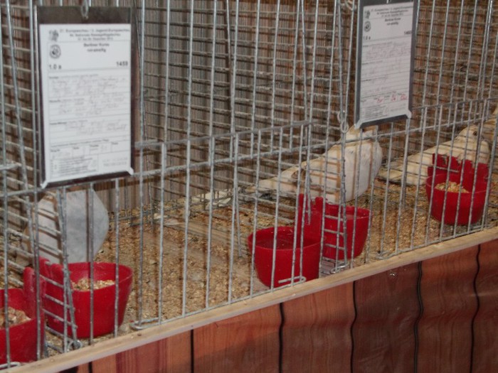 Picture 5187 - EXPOZITIA LEIPZIG 2012 PARTEA INTAI