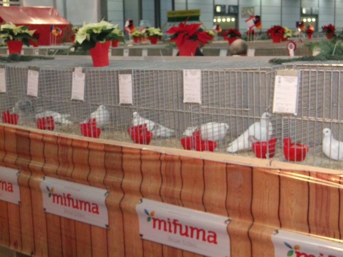 Picture 5189 - EXPOZITIA LEIPZIG 2012 PARTEA INTAI