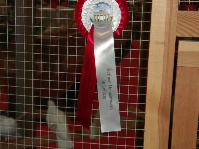 Picture 5192 - EXPOZITIA LEIPZIG 2012 PARTEA INTAI