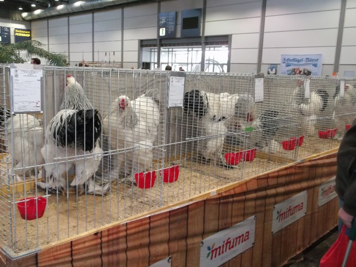 Picture 5200 - EXPOZITIA LEIPZIG 2012 PARTEA INTAI