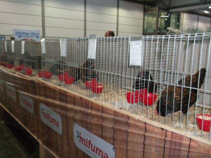 Picture 5207 - EXPOZITIA LEIPZIG 2012 PARTEA INTAI