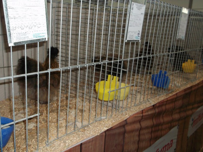 Picture 5215 - EXPOZITIA LEIPZIG 2012 PARTEA INTAI