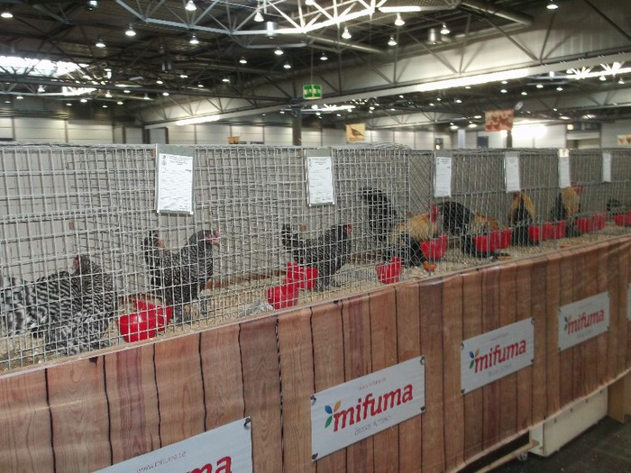 Picture 5232 - EXPOZITIA LEIPZIG 2012 PARTEA INTAI