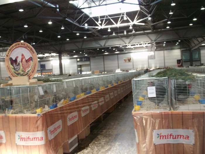 Picture 5239 - EXPOZITIA LEIPZIG 2012 PARTEA INTAI