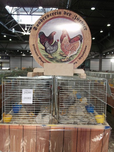 Picture 5240 - EXPOZITIA LEIPZIG 2012 PARTEA INTAI