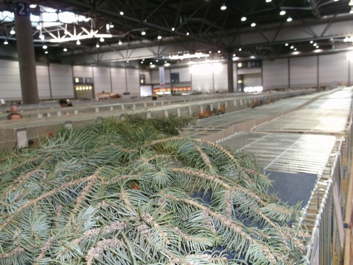 Picture 5243 - EXPOZITIA LEIPZIG 2012 PARTEA INTAI