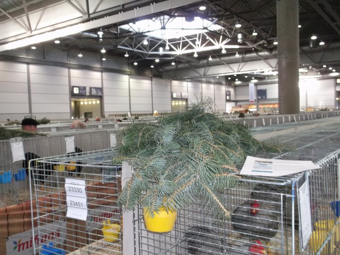 Picture 5246 - EXPOZITIA LEIPZIG 2012 PARTEA INTAI