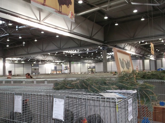 Picture 5247 - EXPOZITIA LEIPZIG 2012 PARTEA INTAI