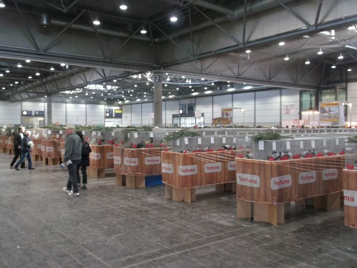 Picture 5248 - EXPOZITIA LEIPZIG 2012 PARTEA INTAI