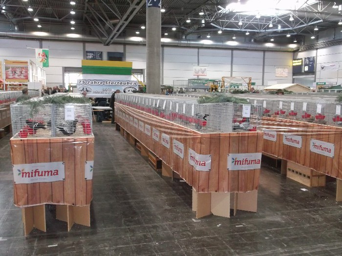 Picture 5249 - EXPOZITIA LEIPZIG 2012 PARTEA INTAI