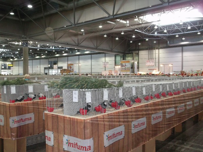 Picture 5250 - EXPOZITIA LEIPZIG 2012 PARTEA INTAI