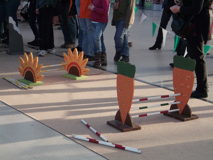 "IEPURODROM" CU OBSTACOLE