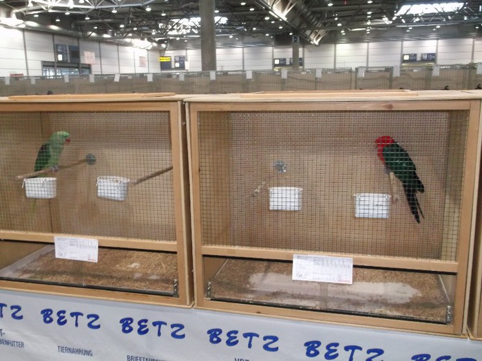 Picture 5382 - EXPOZITIA LEIPZIG 2012 PARTEA INTAI