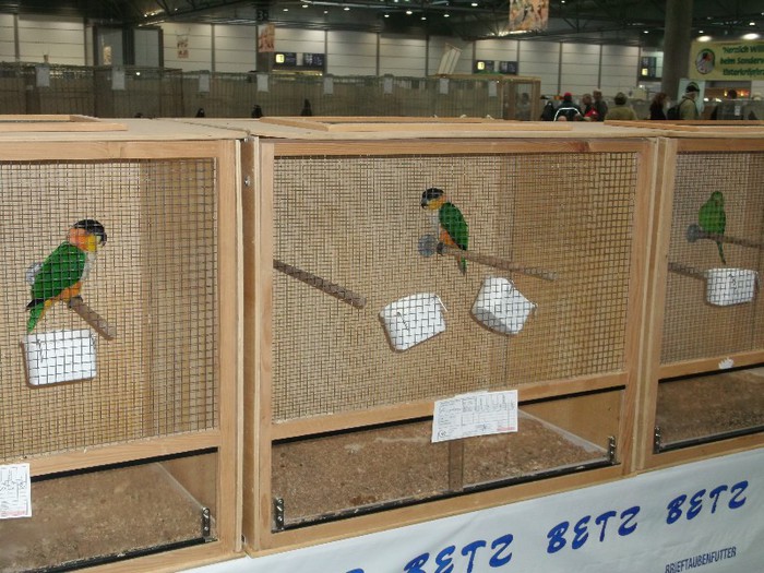 Picture 5383 - EXPOZITIA LEIPZIG 2012 PARTEA INTAI