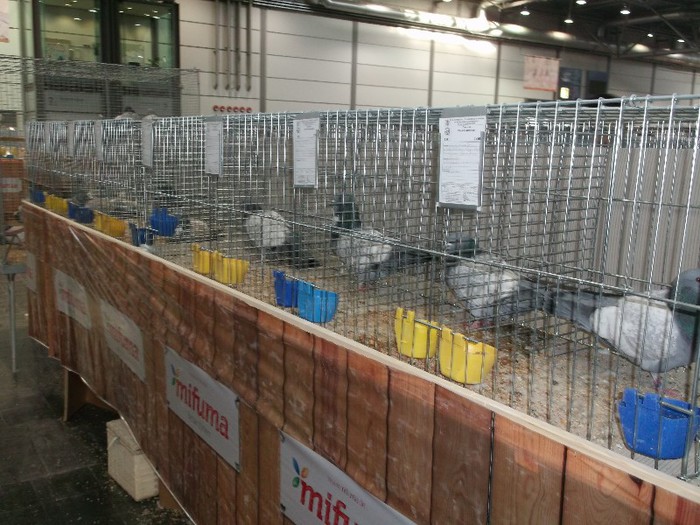 Picture 5392 - EXPOZITIA LEIPZIG 2012 PARTEA INTAI