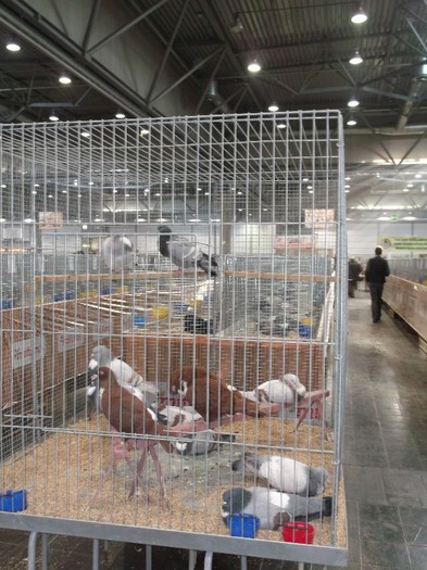 Picture 5393 - EXPOZITIA LEIPZIG 2012 PARTEA INTAI