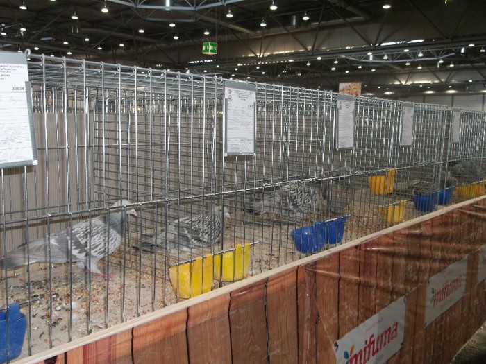 Picture 5395 - EXPOZITIA LEIPZIG 2012 PARTEA INTAI