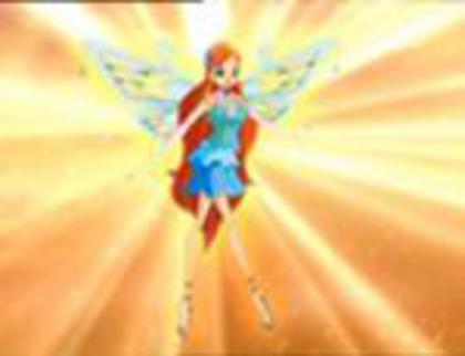  - winx transform bloom enchatinx