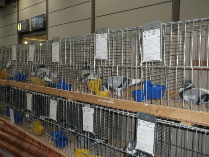 Picture 5457 - EXPOZITIA LEIPZIG 2012 PARTEA INTAI