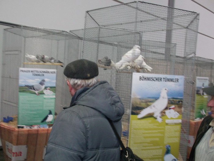 Picture 5638 - EXPOZITIA LEIPZIG 2012 PARTEA INTAI