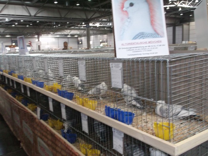 Picture 5644 - EXPOZITIA LEIPZIG 2012 PARTEA INTAI