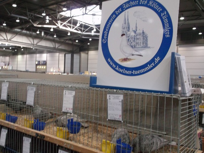 Picture 5647 - EXPOZITIA LEIPZIG 2012 PARTEA INTAI