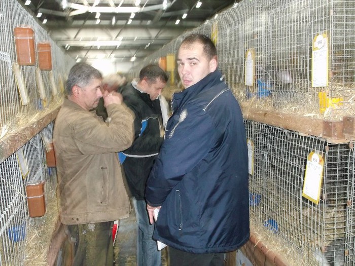 IEPURARII LA TAIFAS SURPRINSI DE PAPARAZZI