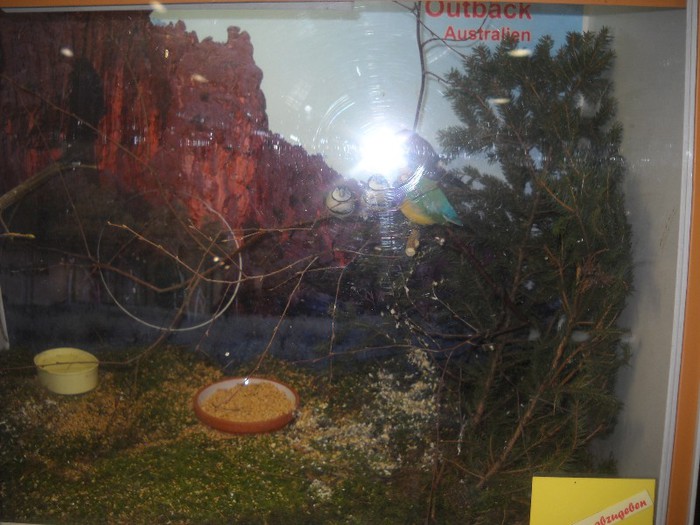 europene leipzig 2012 115