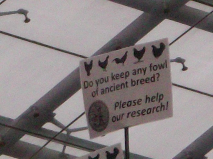 RECLAME DE AJUTOR