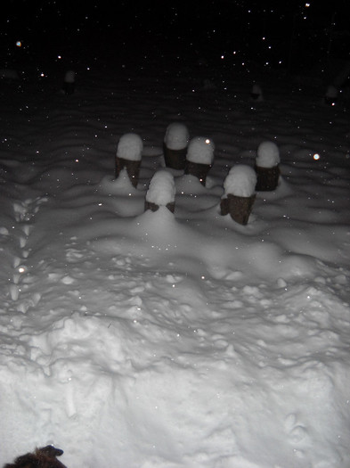 Ninge in continu!! - Iarna 9 Decembrie -2012-2013