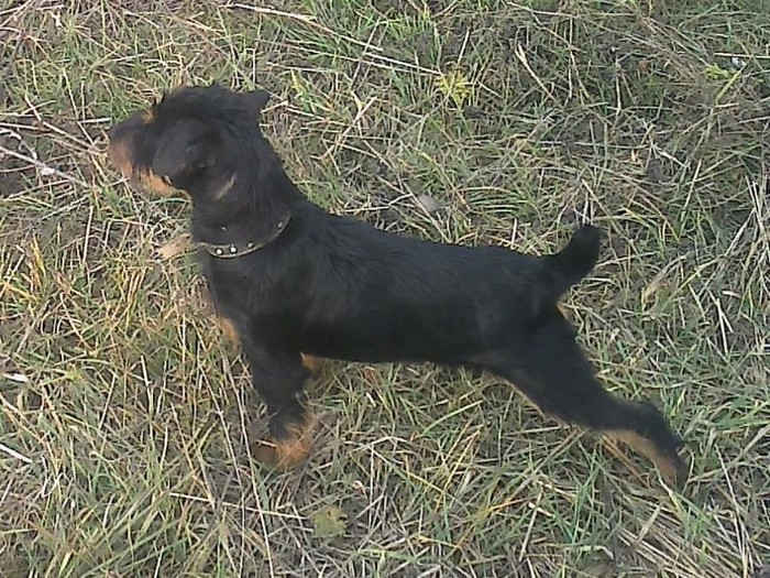 achizitie decembrie 2012