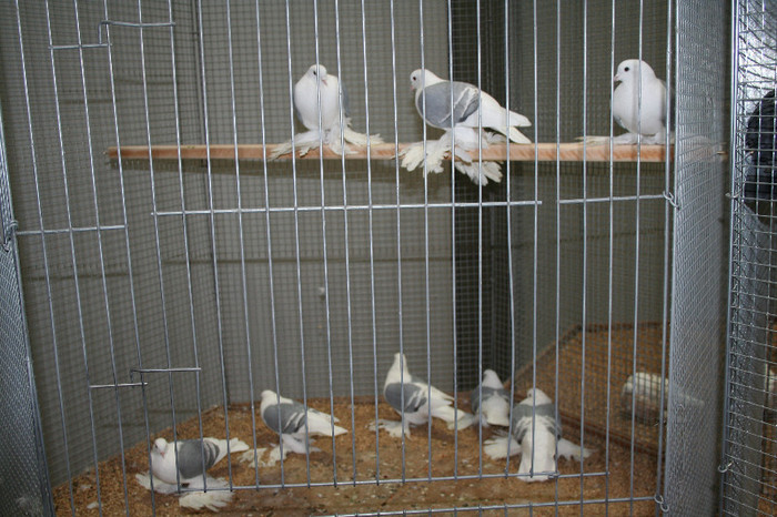 IMG_2918 - EUROPASCHAU LEIPZIG 2012