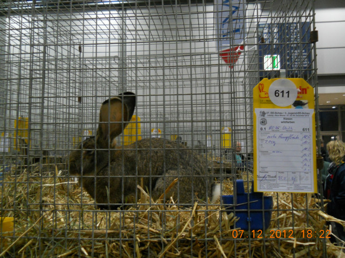 Ro 25 Lg22-F - Rezultate Leipzig 2012