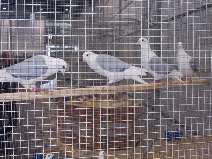 laipzig 2012 475