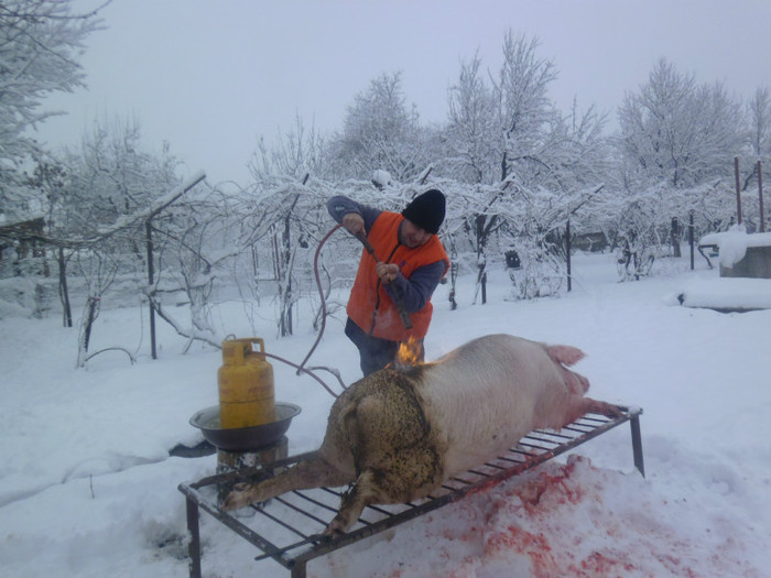 P1010781 - Sacrificarea porcului