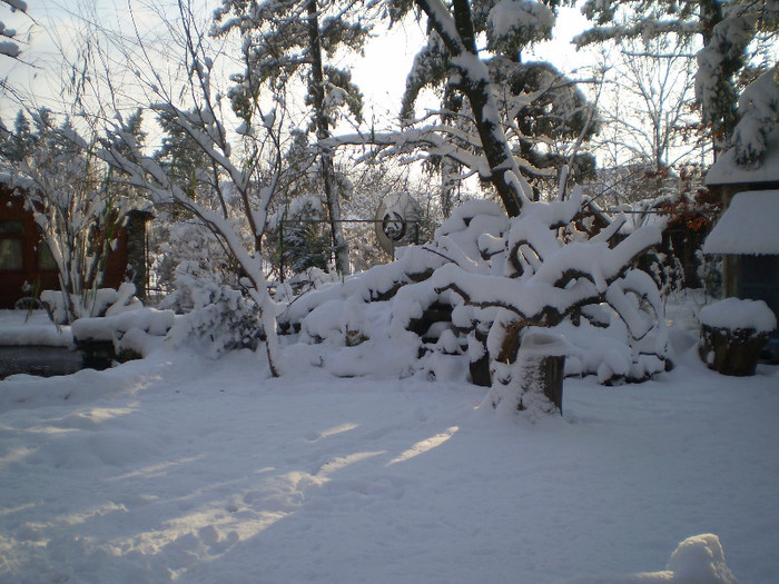 PC120215 - curtea locul de munca