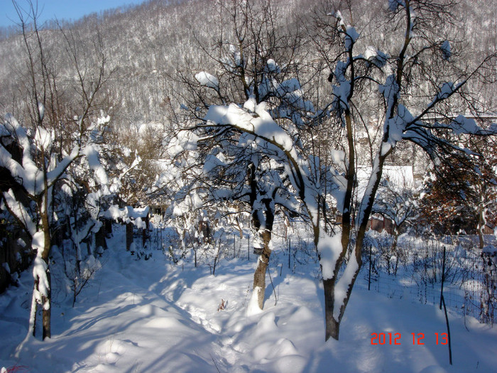 DSC03313