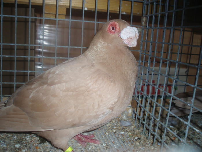 PC072243
