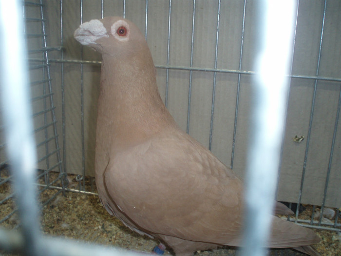 PC072272